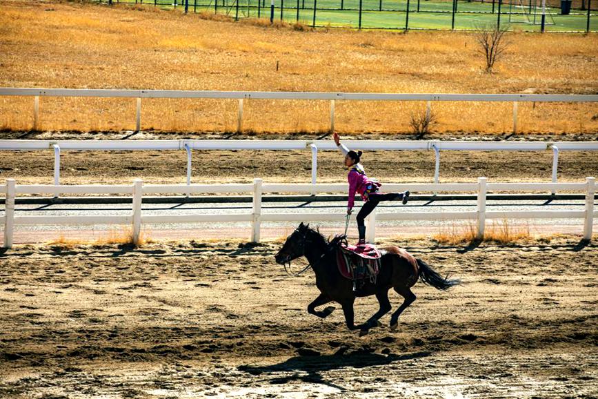 藏歷新年，精彩的馬術(shù)表演。張靜攝