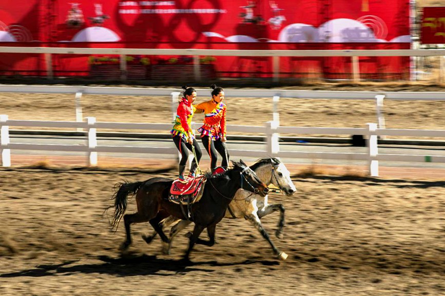 藏歷新年，精彩的馬術(shù)表演。張靜攝