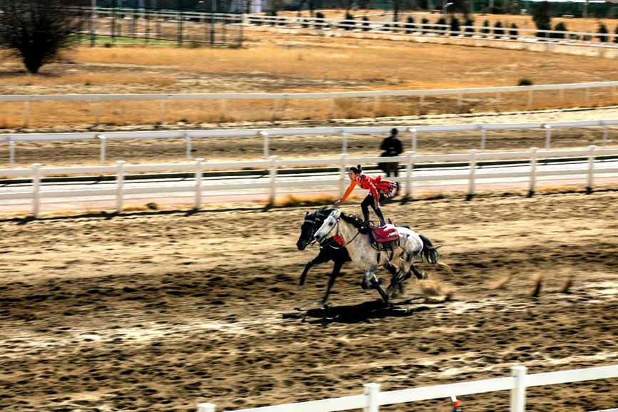 藏歷新年，精彩的馬術(shù)表演。張靜攝