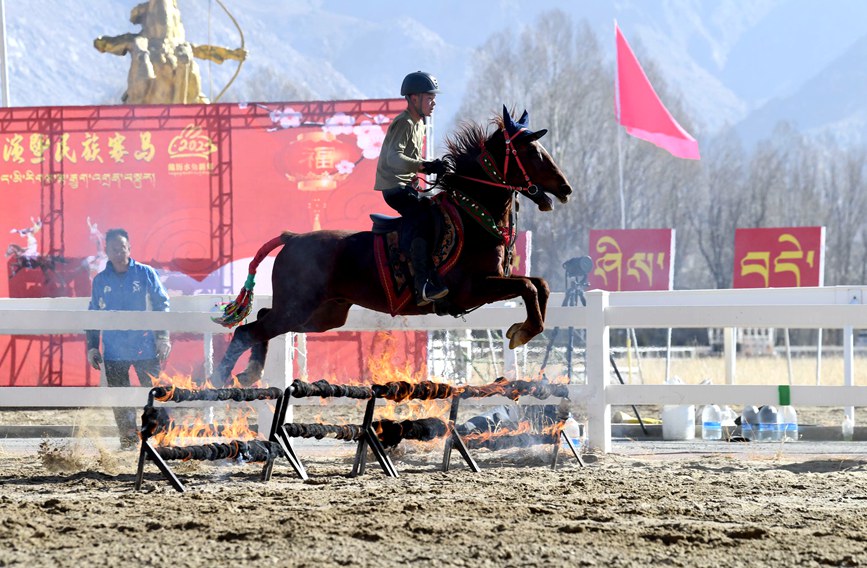 藏歷新年，精彩的馬術(shù)表演。潘多攝