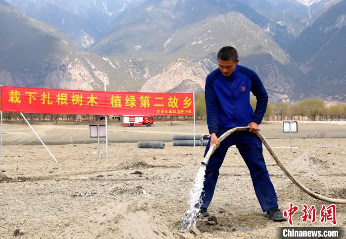 林芝市巴宜區(qū)森林消防中隊志愿服務(wù)隊澆水灌溉?！∥骼@拉翁 攝