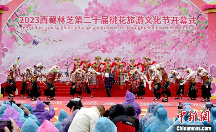 3月28日，西藏林芝第二十屆桃花旅游文化節(jié)開幕式上的文藝表演?！±盍?攝