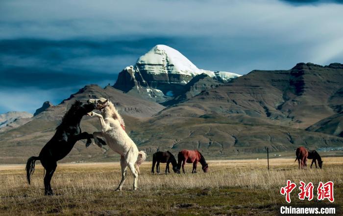 圖為參展攝影師拍攝的西藏阿里岡仁波齊?！≈鬓k方 供圖