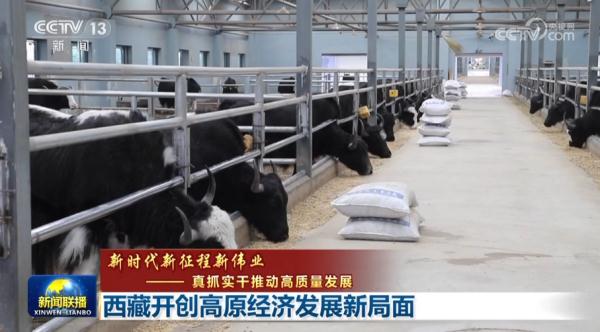 【新時代新征程新偉業(yè)——真抓實干推動高質量發(fā)展】西藏開創(chuàng)高原經(jīng)濟發(fā)展新局面