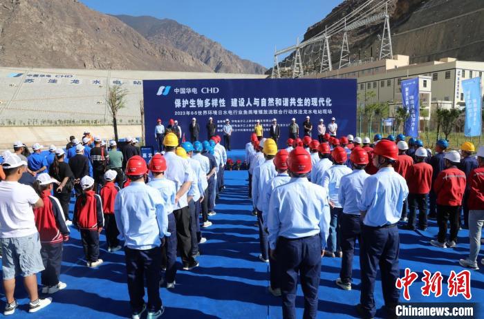 圖為蘇洼龍水電站魚類放流現(xiàn)場?！√K洼龍水電站供圖