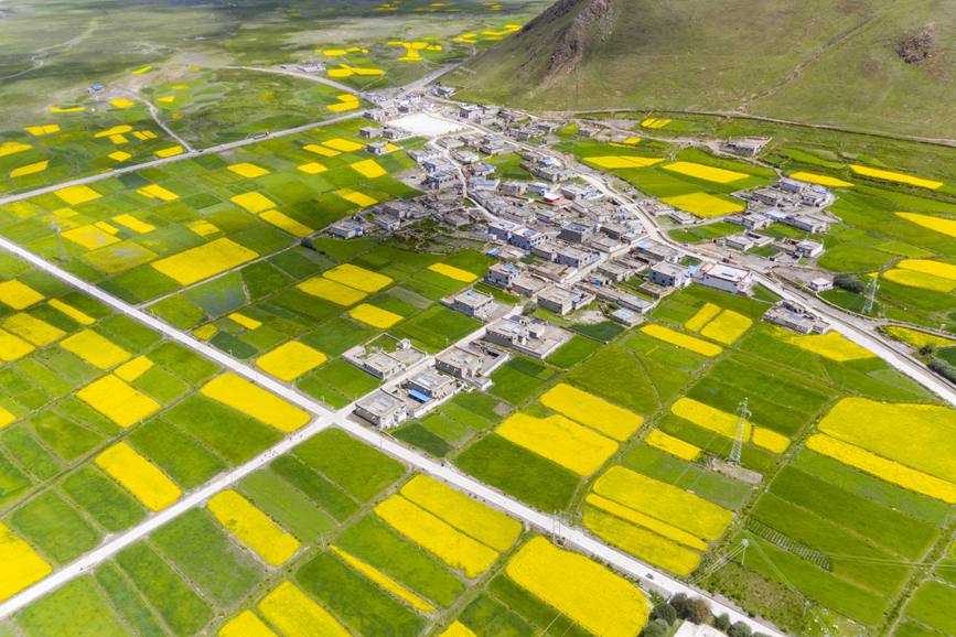 航拍道布龍村，依山傍水，阡陌縱橫。