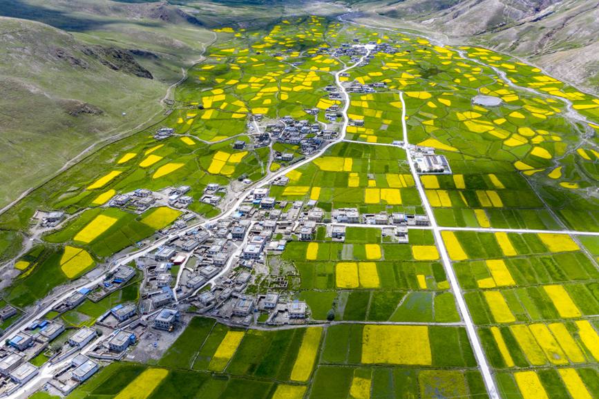 航拍道布龍村，依山傍水，阡陌縱橫。