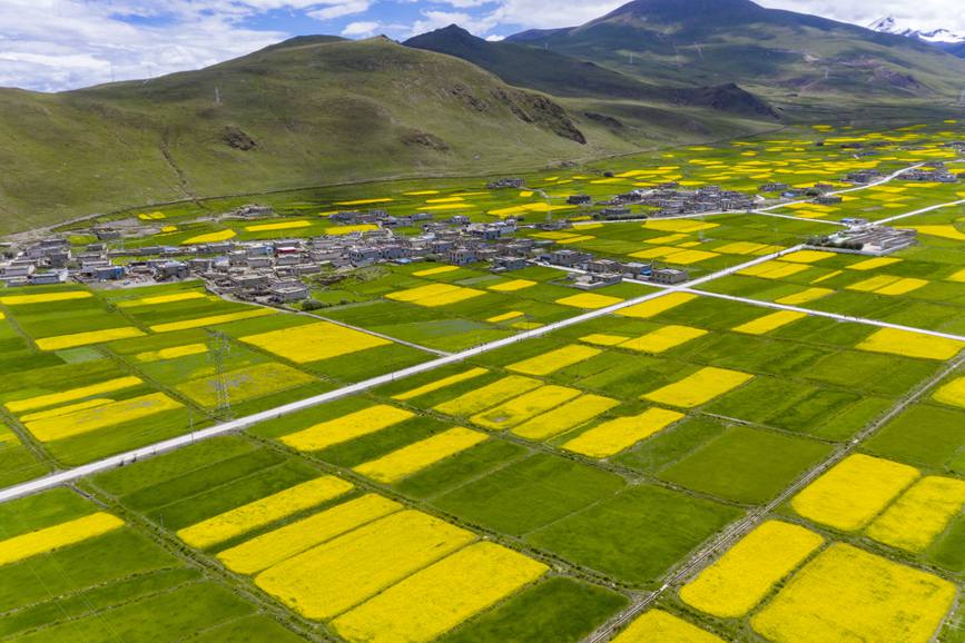 航拍道布龍村，依山傍水，阡陌縱橫。