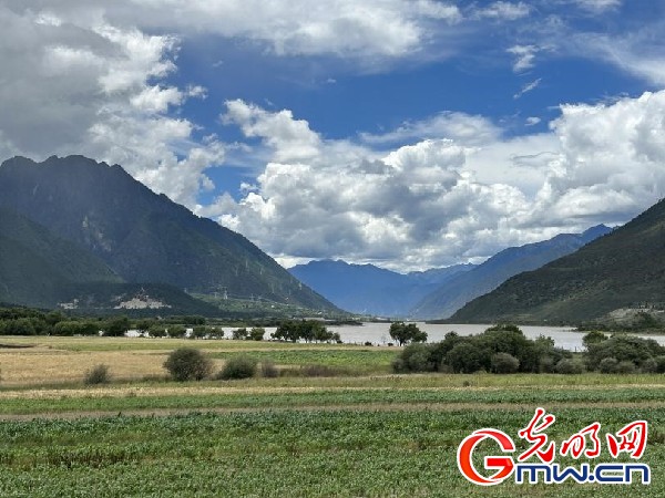 我們的家園｜林芝米林縣：河長護(hù)藥洲，碧水映花谷