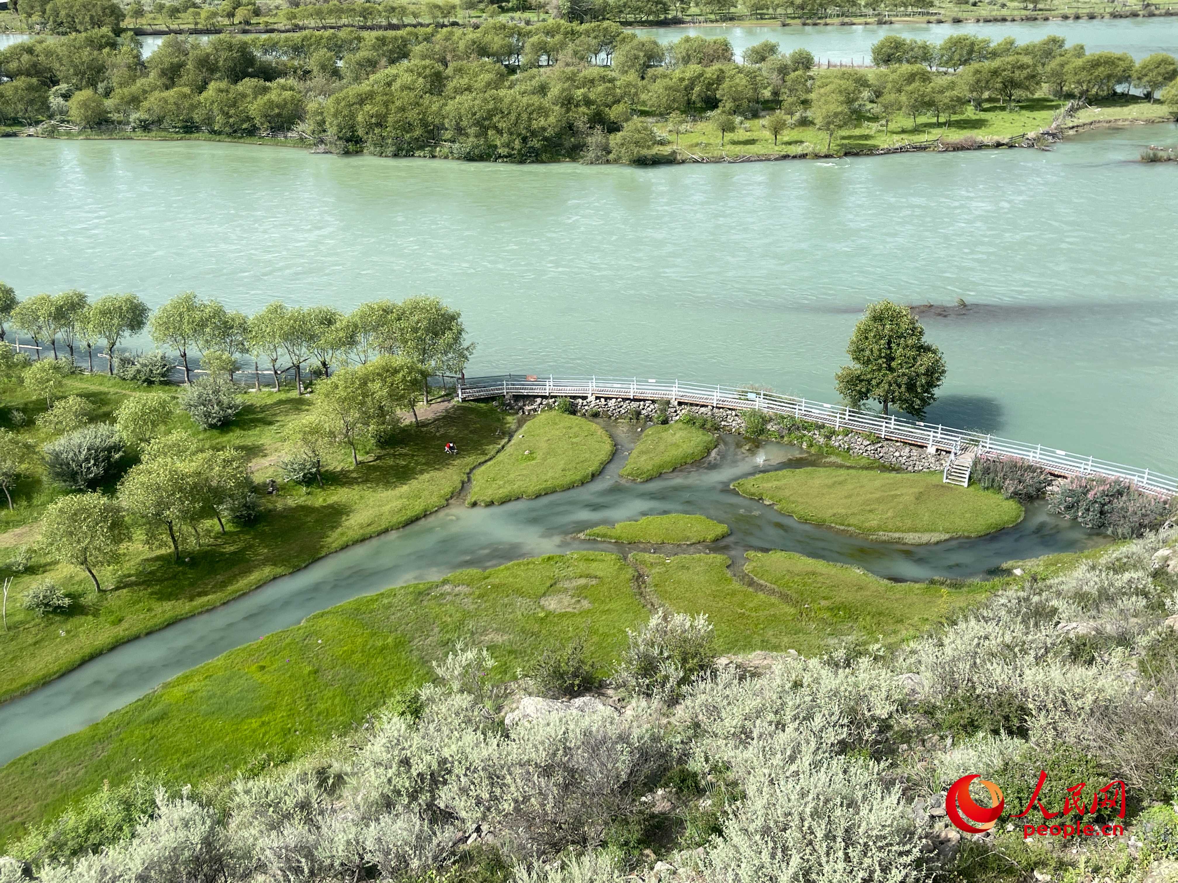 夏日的雅尼國(guó)家濕地公園生機(jī)盎然，如詩(shī)如畫。人民網(wǎng) 周靜圓攝