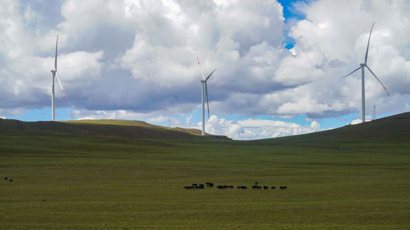 西藏措美哲古風(fēng)電場首批3.6兆瓦風(fēng)電機組并網(wǎng)發(fā)電。受訪者供圖