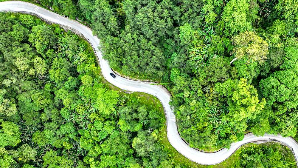 穿行于綠色間，生態(tài)優(yōu)良。張澤坤攝