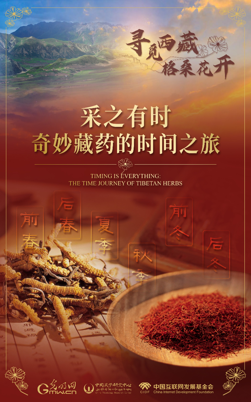 【尋覓西藏·格?；ㄩ_】采之有時(shí)：奇妙藏藥的時(shí)間之旅