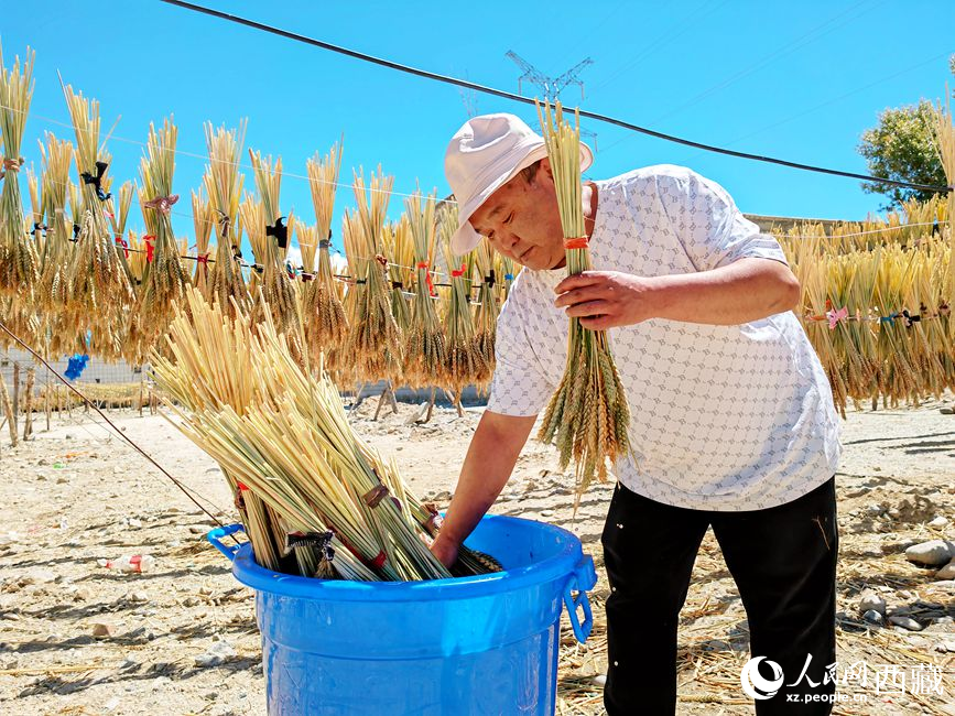 幸福生活曬出來。人民網(wǎng) 李海霞攝