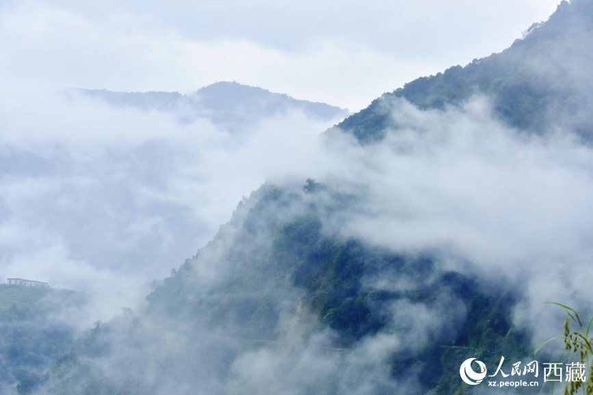秋日里的墨脫云海。人民網(wǎng) 李海霞攝
