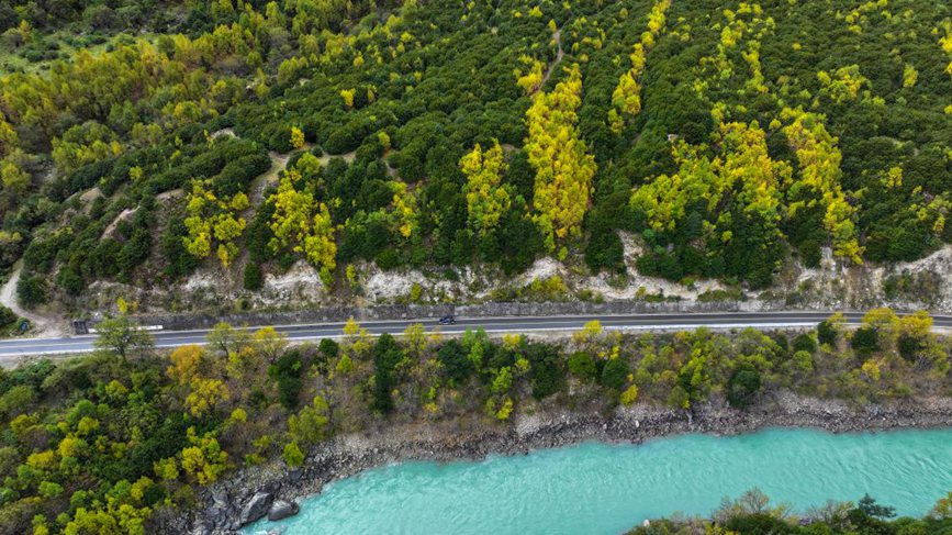 去往墨脫的路上，秋色正明。張澤坤攝