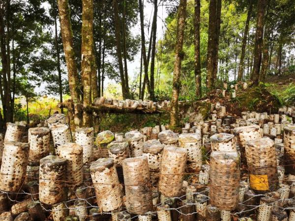 幾代建設(shè)者，歷經(jīng)半個多世紀(jì)完成！這是一條怎樣的公路？