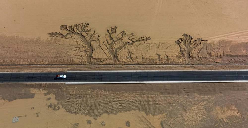 位于國道216沿線的“大地之樹”。邊巴多吉攝