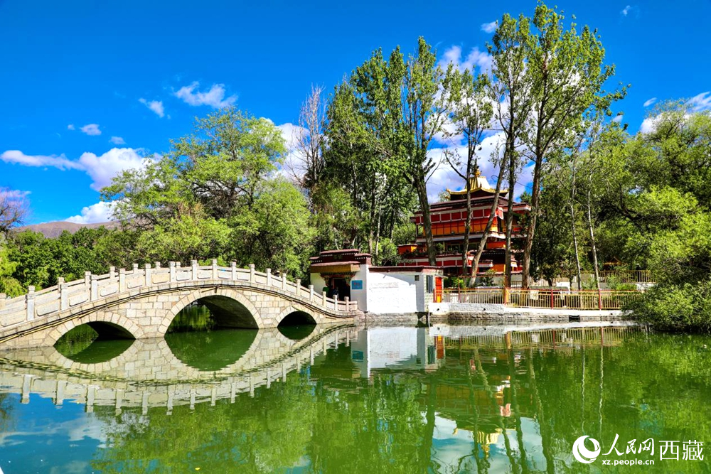 公園內(nèi)綠意盎然。