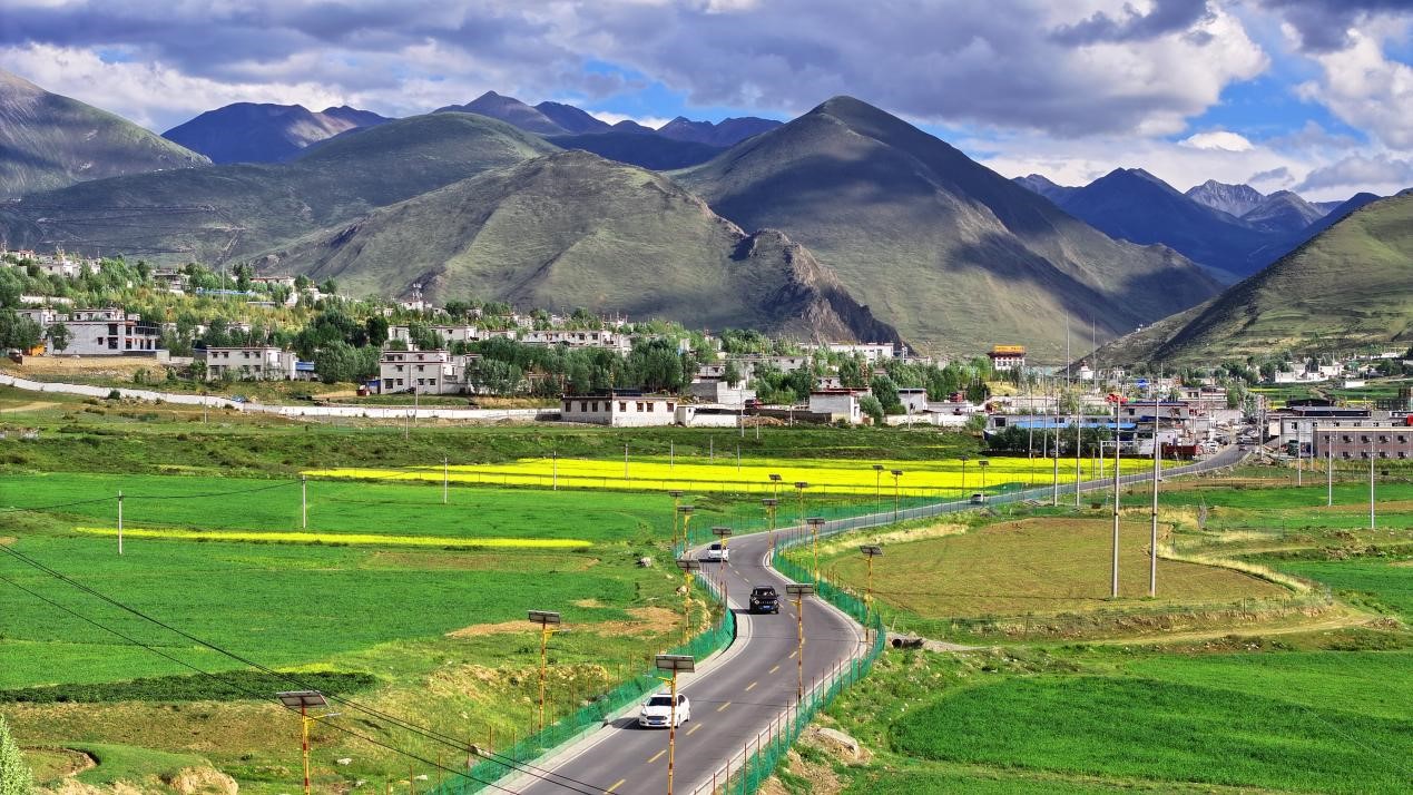 油菜花開“金”滿地。墨竹工卡縣委宣傳部 洛克攝