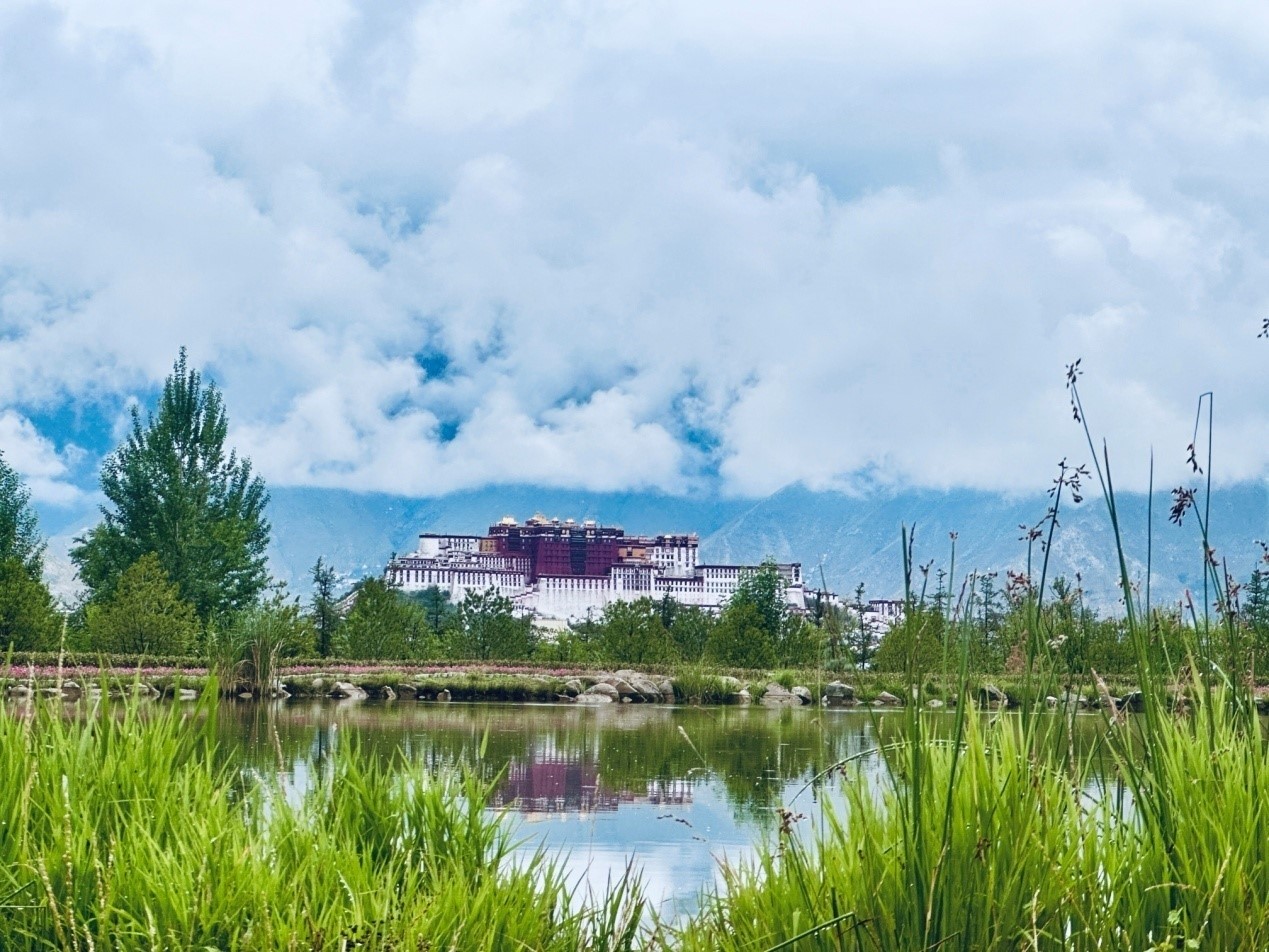 在南山公園遠(yuǎn)眺布達(dá)拉宮。人民網(wǎng)記者 益西康珠攝