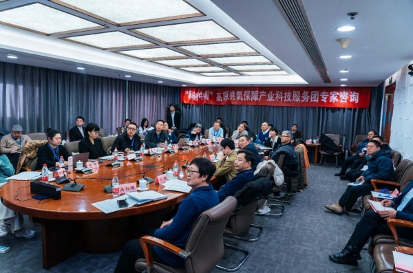 專家把脈西藏氧產業(yè):高原旅游亟需突破“氧瓶頸”