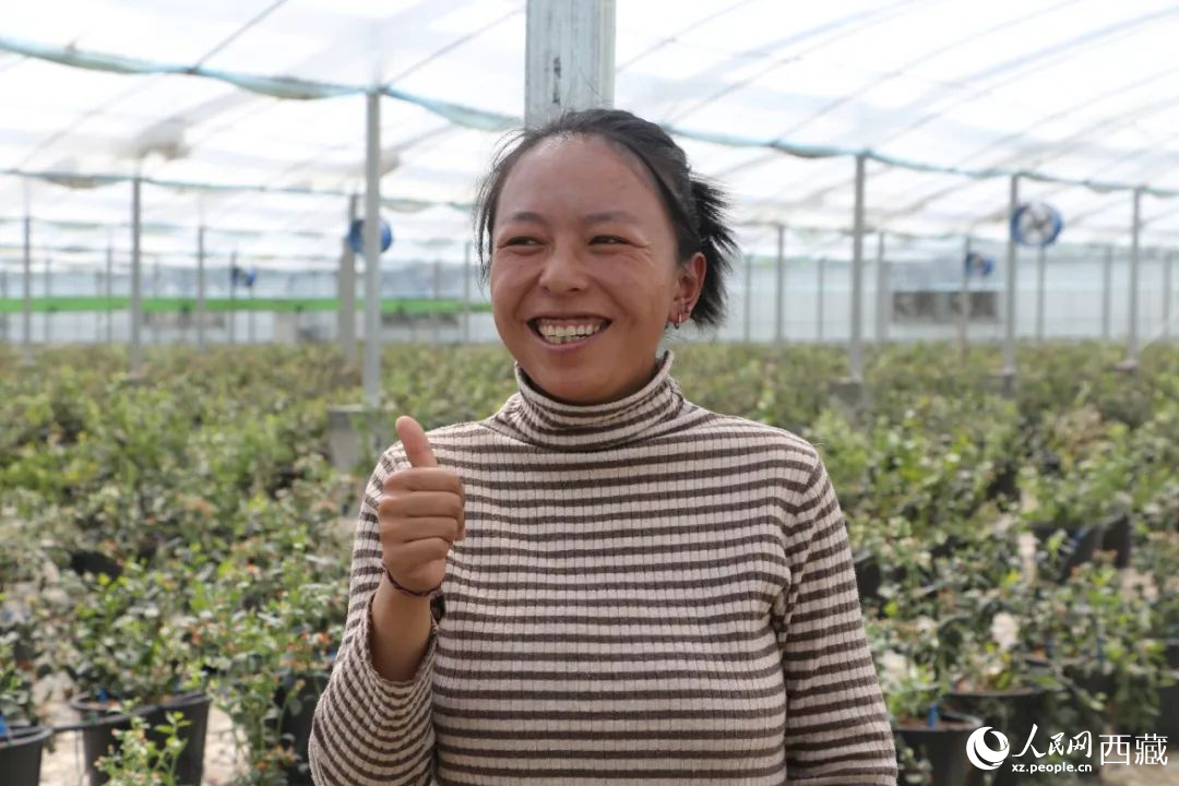 措姆品嘗自己精心照料的藍(lán)莓后，豎起了大拇指。次仁龍布攝