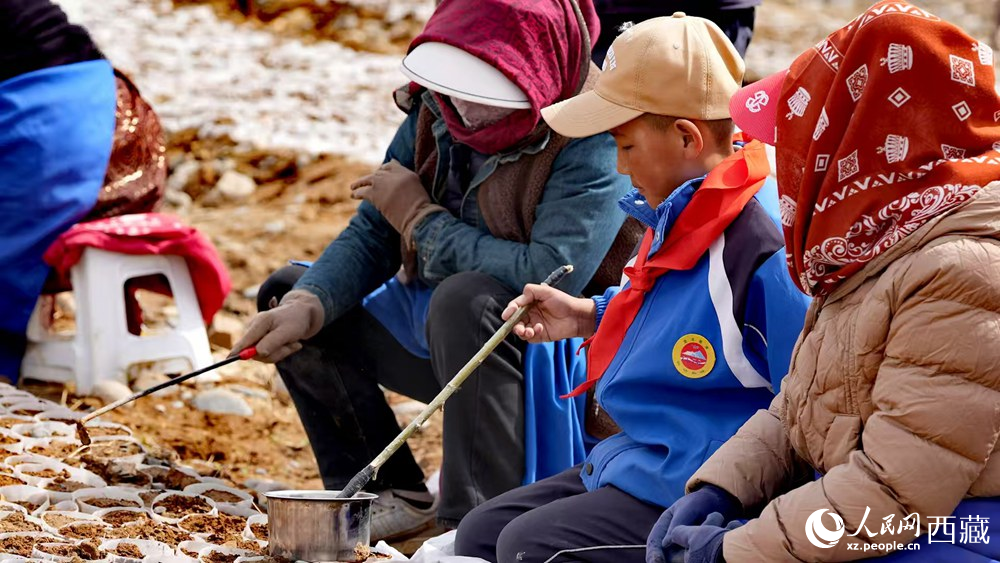西藏定日:思政課“搬”進(jìn)育苗基地