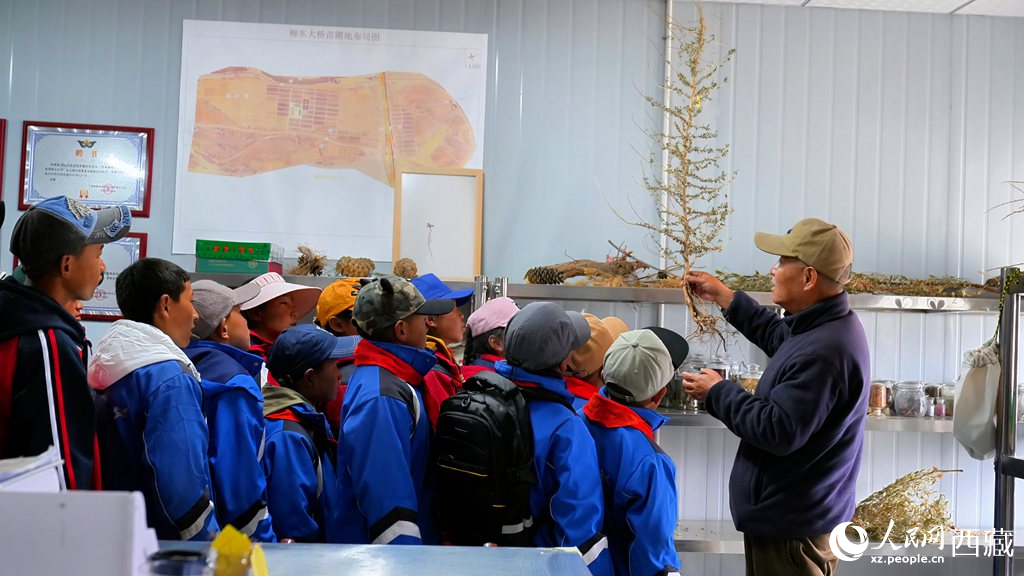 西藏定日:思政課“搬”進(jìn)育苗基地【3】