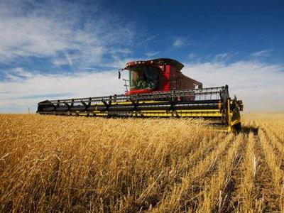 【光明網(wǎng)專論】秦富:鄉(xiāng)村振興亟需培育農(nóng)村發(fā)展新動(dòng)能 【光明網(wǎng)專論】秦富:鄉(xiāng)村振興亟需培育農(nóng)村發(fā)展新動(dòng)能