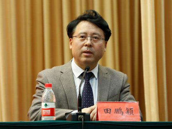 田鵬穎：投入其中、樂在其中、安身其中