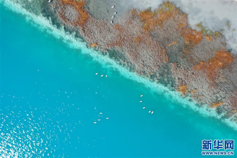 （新華視界）（1）鳥(niǎo)瞰羊湖