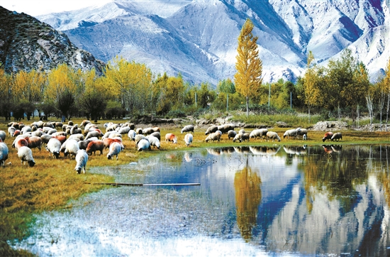 曲水縣郊外的怡人風(fēng)景。 拉薩日報(bào) 平措旺堆攝.jpg