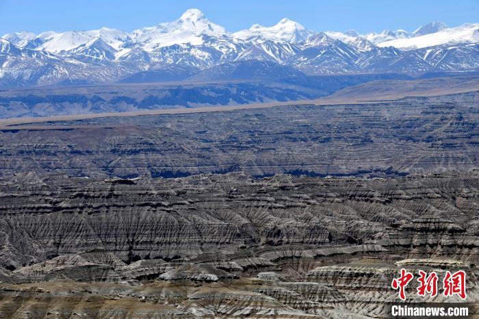 4月5日，西藏阿里札達(dá)土林?！±盍?攝